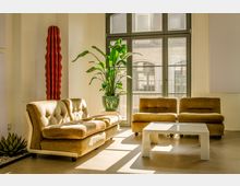 Heller Lounge- oder Wartebereich mit großen, bodentiefen Fenstern und Blick auf ein gegenüberliegendes Gebäude. Im Raum stehen beigefarbene Polstersessel und -sofas um einen weißen Couchtisch, dazu mehrere Zimmerpflanzen, darunter eine hohe kaktusartige Skulptur und eine große Topfpflanze.