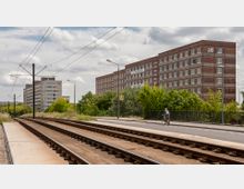 Straßenbahngleise entlang einer Straße mit einer Person auf einem Fahrrad rechts im Bild; im Hintergrund befinden sich mehrstöckige Wohngebäude aus rotem Backstein und zahlreichen Fenstern, umgeben von Bäumen und Grünflächen.