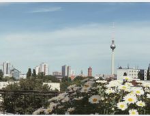 Blick auf die Skyline von Berlin mit dem Fernsehturm als zentralem Element, umgeben von Hochhäusern, Kirchtürmen und grünen Bäumen im Vordergrund; im unteren Vordergrund sind weiße Gänseblümchen zu sehen.