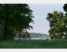 Blick auf eine grüne Landschaft mit hohem Gras und großen Bäumen im Vordergrund, dahinter eine Brücke über einen Fluss und ein Turm auf einem bewaldeten Hügel. Der Himmel ist klar und hell.
