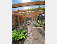 Überdachter Innenhof oder Wintergarten mit transparentem Dach auf Holzträgern, an denen Ranken wachsen, und seitlichen Steinwänden mit großen Holzfenstern und geöffneten Türen. In der Mitte führt ein schmaler Steinweg zu einem kleinen Tisch mit Stühlen, umgeben von Erde, Beeten und jungen Pflanzen.