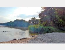 Sandstrand an einem Ufer mit dicht bewachsenen Bäumen und Schilf am Wasser; im See schwimmen drei Personen, und der Himmel ist teilweise bewölkt.
