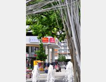 Stadtplatz mit Brunnen im Vordergrund, sprudelnden Wasserfontänen und moderner Architektur im Hintergrund, darunter ein Gebäude mit Geschäften wie Penny, Vodafone und dm-Drogeriemarkt; umgeben von grünen Bäumen.