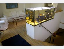 Wohnraum mit Holzboden und heller Einrichtung, im Vordergrund ein großes Aquarium mit tropischen Fischen, das als Geländerersatz an einer Treppe dient. Im Hintergrund ein weißes Sofa, ein Glastisch und ein Wandbild.
