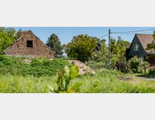 Eine ländliche Szene mit einem alten, verwitterten Backsteingebäude ohne Fenster, umgeben von dichtem grünen Bewuchs. Im Hintergrund befinden sich Bäume, ein Wohnhaus mit Satteldach sowie ein Zaun und Holzstapel.