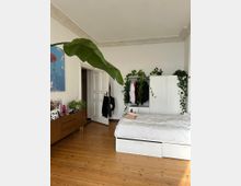 Schlafzimmer mit Holzboden, weiß gestrichenen Wänden und einer Zierleiste an der Decke. Im Raum befinden sich ein Bett mit weißer Bettwäsche, ein Kleiderschrank mit Hängepflanzen, eine Kommode aus Holz mit Dekorationen und ein großes Blatt einer Zimmerpflanze im Vordergrund.