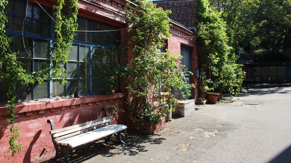 Ziegelgebäude mit großen, blau gerahmten Industrie-Fenstern, deren Fassade von rankenden Kletterpflanzen und Rosen bewachsen ist. Davor verläuft ein asphaltierter Hofweg mit einer weißen Bank, Pflanzkübeln und Bäumen im Hintergrund.