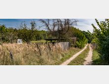 Schmaler Feldweg, der an einer verwilderten Wiese und einem Holzzaun vorbeiführt, mit teils kahlen Bäumen, hohem Gras und einem Wohnwagen im Hintergrund; dichter Wald im Hintergrund.