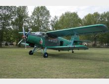 Grünes Doppeldecker-Flugzeug mit Propeller, geparkt auf einer Wiese, umgeben von hohen Bäumen unter einem bewölkten Himmel.