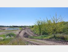 Offene Landschaft mit einem unbefestigten Weg, der sich zwischen einer Erhebung mit Bäumen und einem kleinen Teich schlängelt; das Gelände ist teils grasbewachsen, teils kahl, unter einem klaren blauen Himmel.