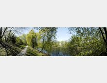 Panorama eines Parks mit einem gepflasterten Weg am linken Bildrand, umgeben von Bäumen und dichtem, grünem Laub. Rechts im Bild ist ein ruhiger See zu sehen, umsäumt von Büschen und hängenden Ästen einer Weide.