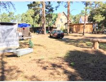 Großer, offener Garten mit einigen Bäumen, einer alten Holzbank und einer Metallwanne im Vordergrund. Im Hintergrund stehen ein beigees Wohnhaus mit Satteldach, ein Holzschuppen sowie ein geparktes Auto, umgeben von weiteren Gebäuden und Gartenmöbeln.