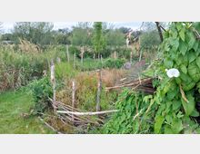 Wildgarten mit Hochbeeten aus geflochtenen Ästen, bewachsen mit verschiedenen Pflanzen und Blumen. Im Hintergrund sind Bäume, Sträucher und hohes Gras auf einer naturbelassenen Wiese zu sehen.