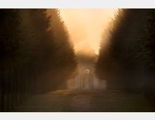 Baumallee in einem Park während des Sonnenaufgangs, mit einem weißen Pavillon mit Rundbogen am Ende des Weges, umgeben von sanftem Nebel und goldenen Lichtstrahlen.
