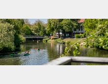 Ein ruhiger Fluss gesäumt von grünen Bäumen und Sträuchern, auf dem drei Personen in grünen Kajaks paddeln. Im Hintergrund ist eine kleine Fußgängerbrücke sowie Gebäude mit roten Dächern sichtbar, umgeben von einer parkähnlichen Landschaft.