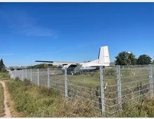 Ein stillgelegtes Flugzeug steht auf einer umzäunten, grasbewachsenen Fläche. Im Hintergrund sind Bäume und ein flaches Gebäude unter einem klaren, blauen Himmel zu sehen.