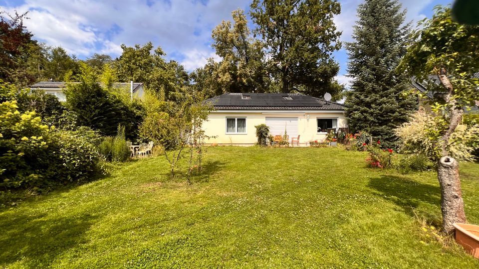 Großer Garten mit weitläufiger Rasenfläche vor einem eingeschossigen Bungalow mit hellem Anstrich und dunklem Dach mit Solarpaneelen. Dichte Hecken und hohe Bäume rahmen das Grundstück ein, daneben stehen Gartenmöbel und blühende Beete am Haus.