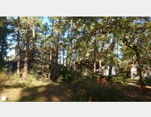 Ein kleines Gebäude liegt inmitten eines lichten Waldes mit hohen Kiefern und Laubbäumen. Die Umgebung ist von dichtem Unterholz und herbstlichem Blattwerk geprägt.