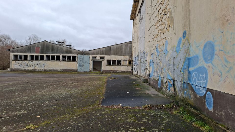 Verlassener Industriehof mit flachen Lagerhallen, langen Fensterreihen und einem offenen Tor in der Mitte. Rechts verläuft eine große, verwitterte Wand mit abblätternder Farbe und Graffiti entlang einer rissigen, moosigen Asphaltfläche unter grauem Himmel.