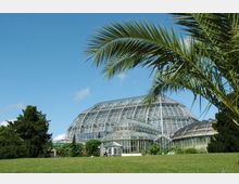 Historisches Gewächshaus mit einer großen, gläsernen Kuppel und mehreren angrenzenden Glasstrukturen, umgeben von grünen Rasenflächen und einzelnen Bäumen, mit einem blauen Himmel im Hintergrund. Im Vordergrund ragt ein Palmzweig ins Bild.