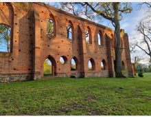 Ruinen eines historischen Backsteingebäudes mit gotischen Bögen und großen, offenen Fensteröffnungen, umgeben von Bäumen und einer Wiese bei Tageslicht. Ein großer Baum steht direkt an der Mauer.