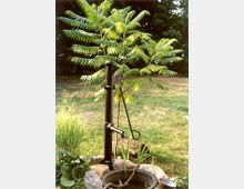 Eine schwarze Handwasserpumpe steht in einem Garten, umgeben von niedrigen Pflanzen, Steinen und einem kleinen Wasserbecken. Im Hintergrund ist eine Wiese mit einem jungen Baum und weiteren Bäumen in der Distanz sichtbar.