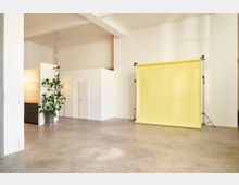 Heller, minimalistischer Studio- oder Arbeitsraum mit Betonboden und weißen Wänden, darunter ein abgetrennter Kubus mit zwei weißen Türen. Rechts steht ein gelber Fotohintergrund auf Stativgestellen, links eine große Topfpflanze neben einem niedrigen Schrank.