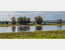 Flusslandschaft mit grasbewachsenen Ufern, mehreren großen Bäumen und einer Stahlbrücke im Hintergrund, die den Fluss überquert. Der Himmel ist leicht bewölkt und die Umgebung wirkt ruhig und naturbelassen.