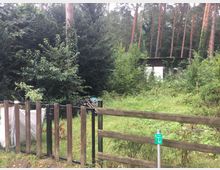 Holzzaun und Metalltür im Vordergrund, dahinter dichter Wald mit Sträuchern und Bäumen. Im Hintergrund steht ein kleines Gebäude mit Flachdach, teilweise von Pflanzen überwuchert.
