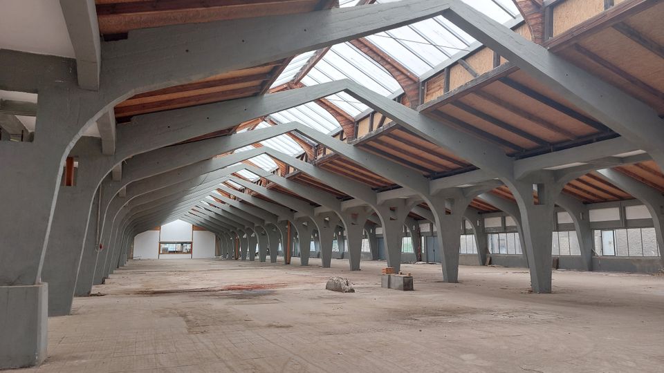 Innenraum einer großen, leerstehenden Industriehalle mit grauen Betonstützen und einem Dach aus Holz und Glas. Tageslicht fällt durch die großen Oberlichter ein, während die Halle einen offenen und ungenutzten Eindruck vermittelt.