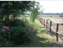 Ländliche Szene mit einem Holzzaun, der einen sandigen Reitplatz abgrenzt. Im Vordergrund befinden sich Büsche, Bäume und blühende rosa Blumen, während im Hintergrund eine offene Landschaft mit Feldern und Bäumen zu sehen ist.