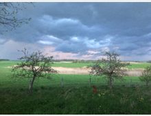 Ländliche Landschaft mit grünen Wiesen, vereinzelten Bäumen und einem Zaun im Vordergrund. Dunkle Wolken ziehen über den Himmel, was auf ein bevorstehendes Unwetter hindeutet.