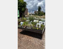 Eine städtische Gartenanlage mit einem erhöhten Beet, das mit verschiedenen kleinen Pflanzen in Plastikbehältern und Bildtafeln dekoriert ist. Im Hintergrund sind Bäume, historische Ziegelgebäude und ein bewölkter Himmel zu sehen.