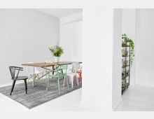 Minimalistisch eingerichteter Essbereich mit einem Holztisch und verschiedenen bunten Stühlen auf einem grauen Teppich. Im Hintergrund steht ein Regal mit grünen Pflanzen und auf dem Tisch eine Vase mit Blumen.