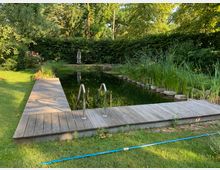 Holzsteg an einem natürlichen Schwimmteich, umgeben von Rasen, hohen Gräsern und Hecken; im Hintergrund Bäume und ein Sonnenschirm.