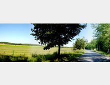 Ländliche Landschaft mit einer Weide im Vordergrund, die von einem Holzzaun umgeben ist. Rechts verläuft eine schmale Landstraße, gesäumt von Bäumen und Schatten spendender Vegetation, mit Hügeln und Wiesen im Hintergrund unter klarem blauem Himmel.