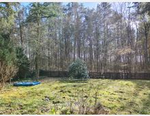 Großer, grasbewachsener Garten mit verstreuten Sträuchern und niedrigen Gartenobjekten, eingefasst von einem dunklen Holzzaun. Dahinter schließt sich ein dichter Wald aus hohen Kiefern und laubfreien Bäumen unter hellem Himmel an.