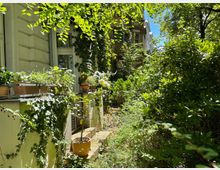 Eine grüne Hofszene mit einer Hausfassade, die von Efeu und anderen Kletterpflanzen bewachsen ist. Auf dem Geländer stehen mehrere Töpfe mit Blumen und Kräutern, umgeben von dichten Büschen und Bäumen, die Schatten spenden.