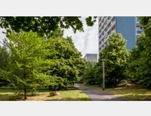 Ein schmaler Gehweg führt durch eine grüne Parkanlage mit dicht bewachsenen Bäumen. Im Hintergrund sind mehrstöckige Wohngebäude mit blauen und grauen Fassaden zu sehen.