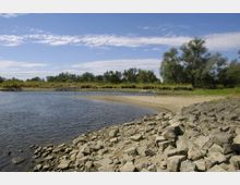 Flussufer mit sandigem Strand und steiniger Böschung im Vordergrund, umgeben von einer Landschaft mit Gras, Bäumen und blauer Himmel mit Wolken.
