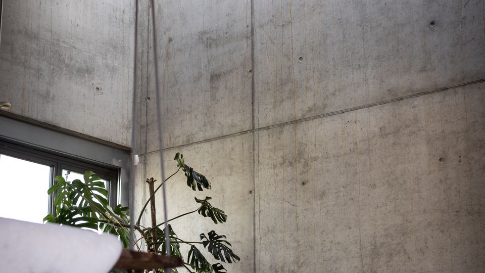 Eine moderne Innenraumaufnahme mit Sichtbetonwänden, einem großen Oberlicht, das natürliches Licht hereinlässt, und einer Zimmerpflanze in einem weißen Topf vor einem bodentiefen Fenster. Ein Holzboden und eine Holzdecke ergänzen die minimalistische Ästhetik.