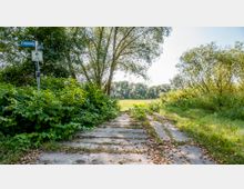 Ein überwucherter Weg aus Betonplatten führt durch eine grüne, von dichtem Gebüsch und Bäumen gesäumte Landschaft. Im Vordergrund steht ein Verkehrsschild mit einem Straßennamen "Erlenweg" und einem Hinweis für Fahrradfahrer.