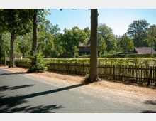 Ländliche Straße mit schattenspendenden Bäumen am Straßenrand, einem Holzzaun und dahinterliegenden Gebäuden inmitten von grünem Laub und gepflegten Gärten. Im Hintergrund ist ein Haus mit Ziegeldach sichtbar, umgeben von Bäumen.