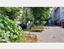 Städtische Straße mit einem kleinen begrünten Bereich, einer Holzbank und einem abgestellten Elektroroller rechts daneben. Im Hintergrund stehen Bäume, mehrstöckige Wohnhäuser und ein Gebäude mit bemalter Fassade.