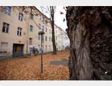 Innenhof mit mehreren Wohngebäuden, die beige verputzt und teils renovierungsbedürftig wirken; Laubbedeckter Boden, kahle Bäume und eine alte Straßenlaterne in der Mitte des Hofes im Herbst.