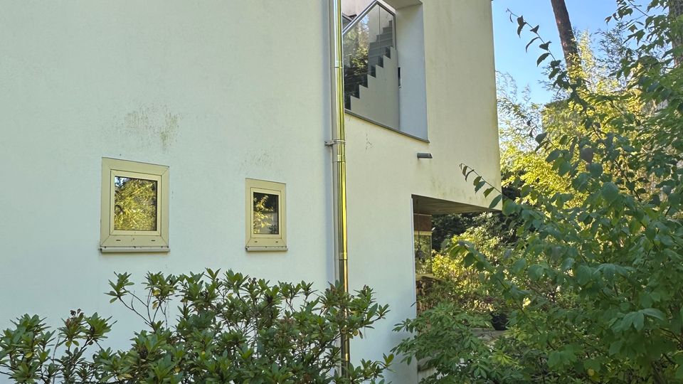 Außenansicht eines modernen, weiß verputzten Wohnhauses mit flachem Dach, mehreren rechteckigen Fenstern und einem zentralen Regenfallrohr. Dichtes Grün aus Sträuchern und hohen Kiefern umgibt die Fassade und rahmt den Blick auf einen überdachten Eingangsbereich.