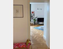 Blick in ein Wohnzimmer mit Parkettboden, einem Flachbildfernseher auf einem weißen TV-Schrank, einem großen grünen Pflanzenkübel und einem Regal an der Wand. Im Vordergrund ein bunter Polsterstuhl und ein hängender Kronleuchter an der Decke.