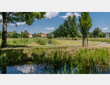Ein grüner Park mit einer Wiese und einem schmalen Wassergraben im Vordergrund; rechts ein Feldweg, gesäumt von jungen Bäumen und hohen Pappeln. Im Hintergrund sind Gebäude mit roten Dächern und ein Kirchturm sichtbar, eingebettet in die Landschaft.