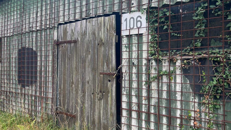 Verwitterter Schuppen aus Wellblech mit einem Holzflügeltor und einem Nummernschild „106“, umgeben von hohem Gras. An der Fassade sind Drahtgitter und teilweise Efeubewuchs zu sehen.