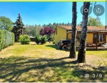 Ein Garten mit kurz geschnittenem Rasen, umgeben von Bäumen und Sträuchern. Rechts steht ein gelbes Gebäude mit einem Flachdach und einer überdachten Terrasse, im Hintergrund ist ein dichter Wald zu sehen.